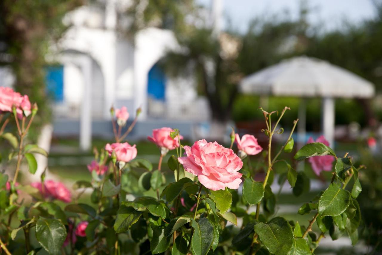 Sun 'N Chill, Boutique Apartments & Beach Villa Melikia Exterior photo